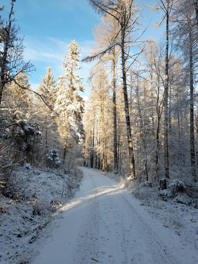 Fraenkische Linie - Radspitz-Ferienwohnungen Marktrodach Kültér fotó